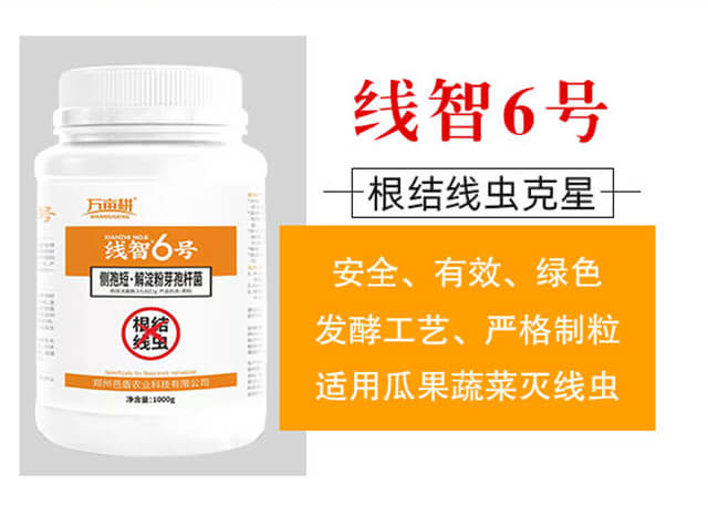 ����6̖-��ķ��_02