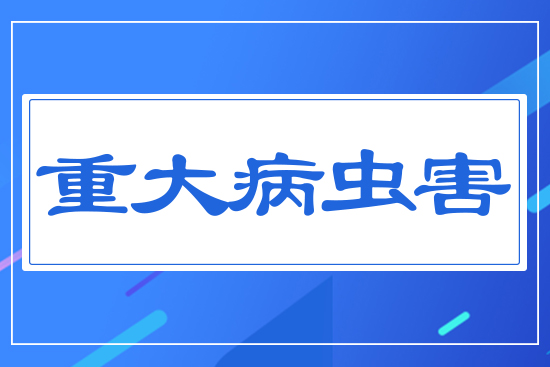 �ش��x(ch��ng)��