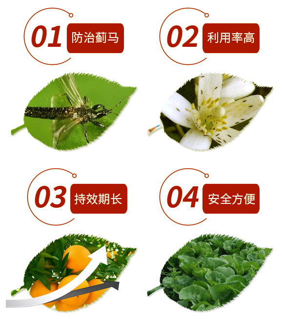 �E�R�T��(d��o)��-��(qi��ng)�r(n��ng)_03