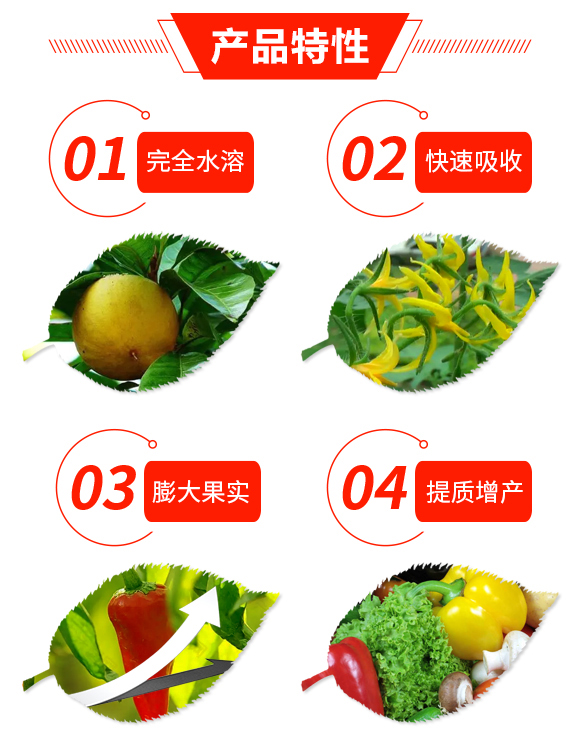 �������ЙC����-�󻯷ʘI(y��)_03