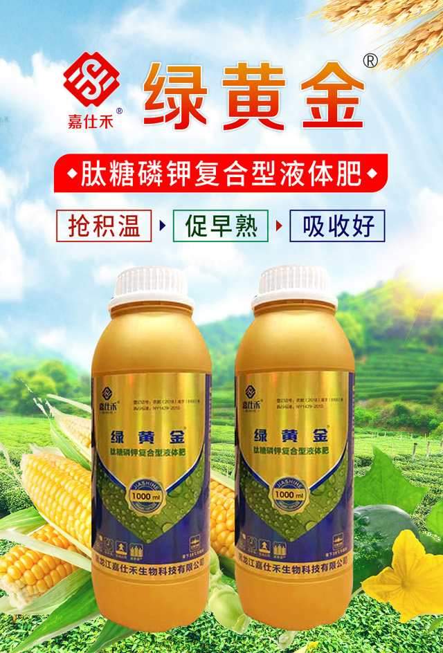 �G�S��-���˺�_01