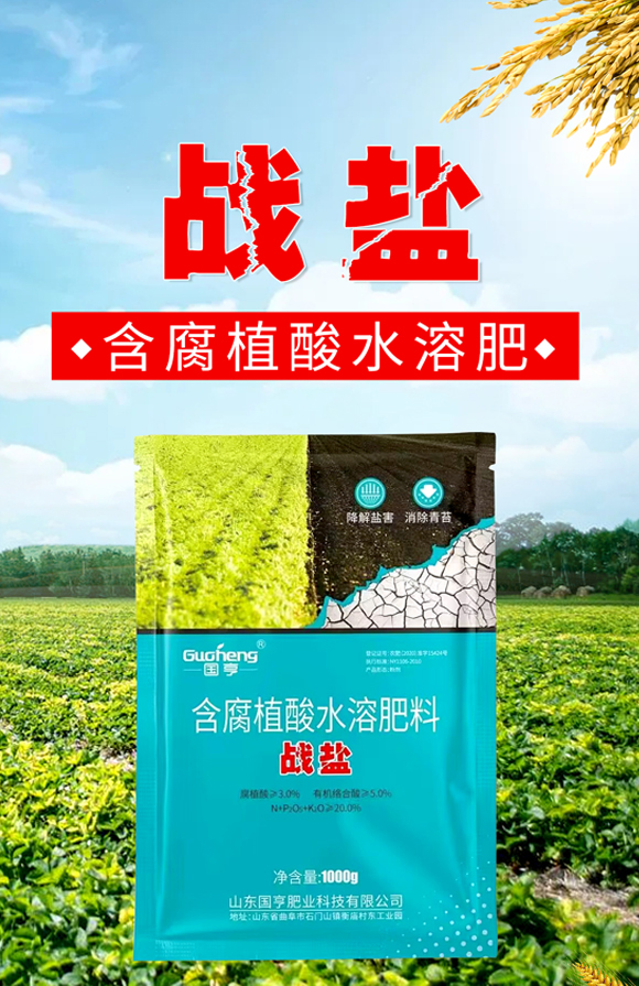 ��(zh��n)�}-����ʘI(y��)_01