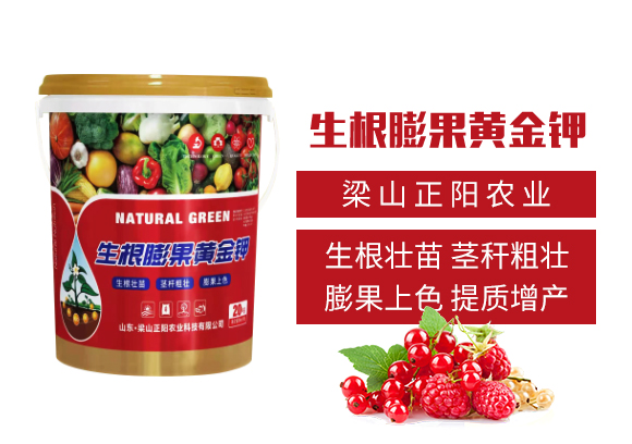 ��ɽ����r(n��ng)�I(y��)�Ƽ����޹�˾_02