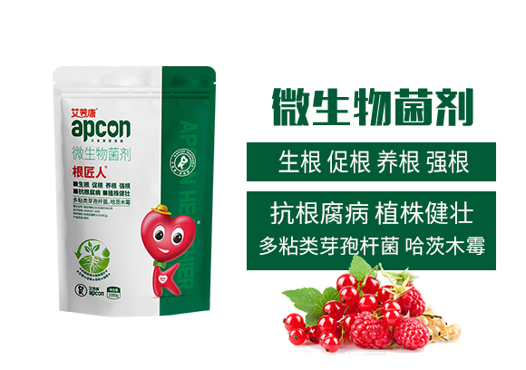 ���ϰ������ﱣ�o���޹�˾_02