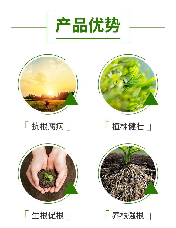 ���ϰ������ﱣ�o���޹�˾_03