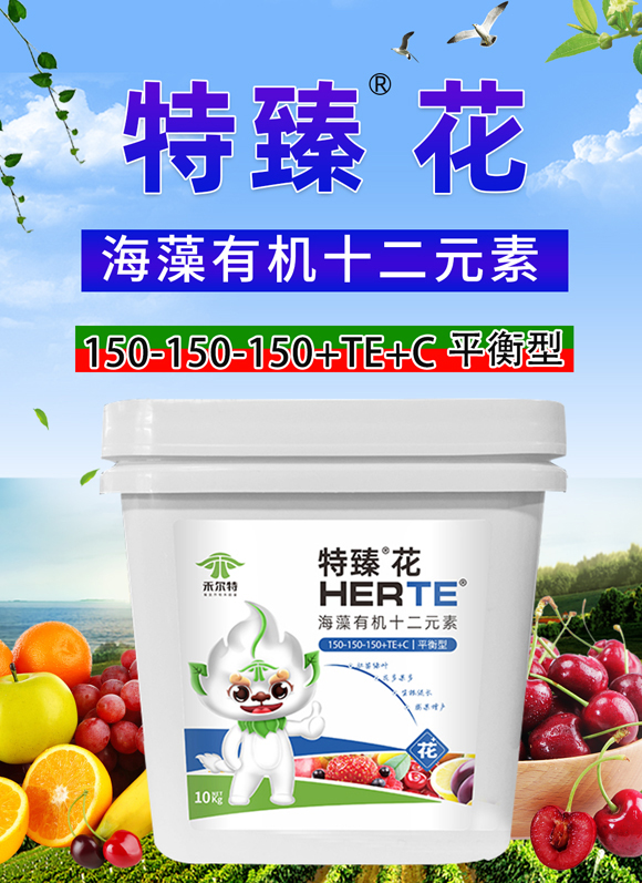 ���黨-�̠���_01