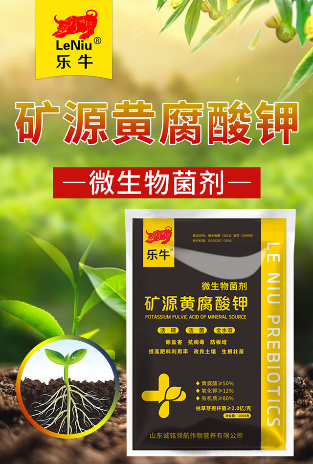 礦源黃腐酸鉀-誠銘領(lǐng)航_01