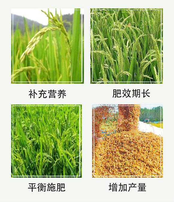 �������-�󻯷ʘI(y��)_05