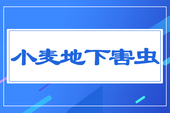 С�����º��x(ch��ng)