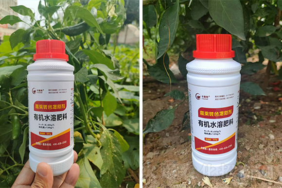 �n���D(zhu��n)ɫ������-��ʩ��3