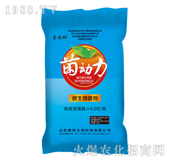 ����(d��ng)��΢�������-�˰�����