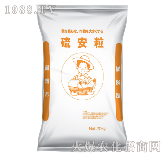 ƽ�ڴ�5-�E��