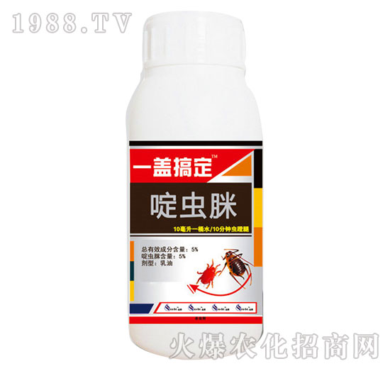 5%��x��-һ�w�㶨-�읙(r��n)����