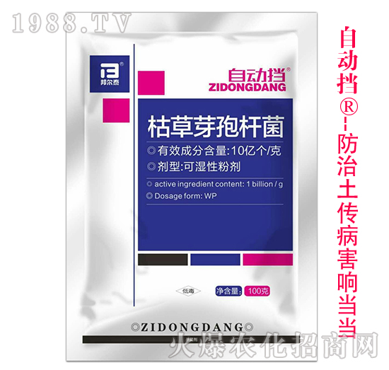 �ݲ�ѿ�ߗU��-�Ԅӓ�-�̩