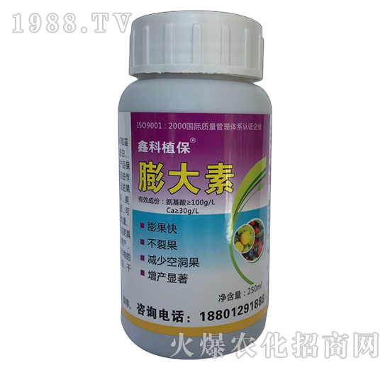 �����-�ο�ֲ��