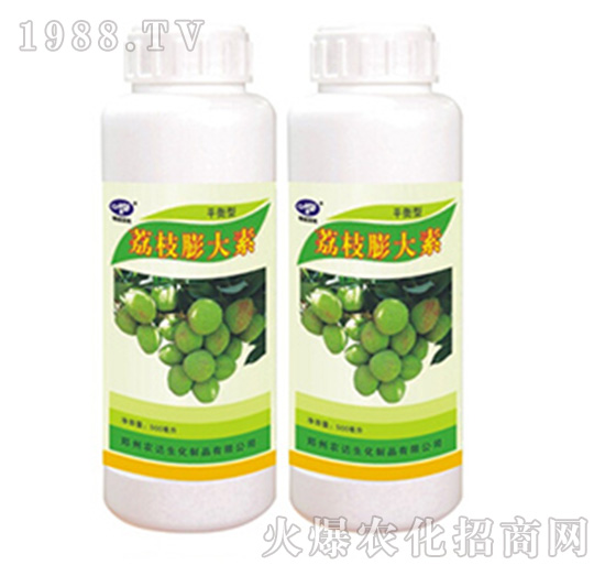 ��֦�����-�r(n��ng)�_(d��)����