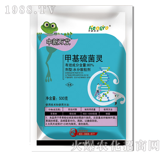 80%�׻�����`-�����f(w��n)��-���¿��r(n��ng)