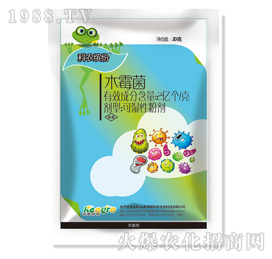 ľù��-���r�_��-���¿��r