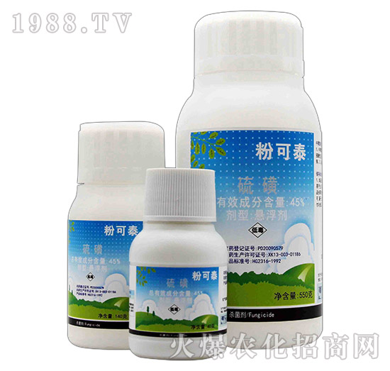 �ۿ�̩-չ�i����