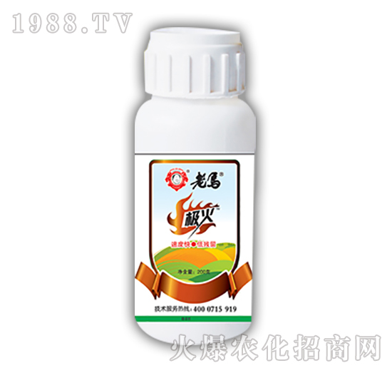 ���R�O��-�����r�I(y��)