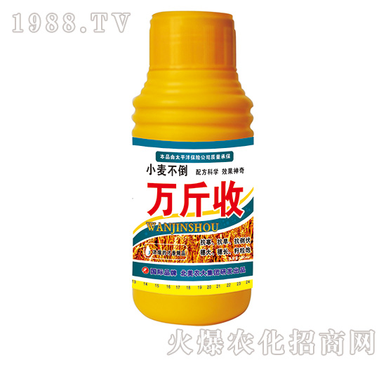 �f(w��n)����-�����r(n��ng)��