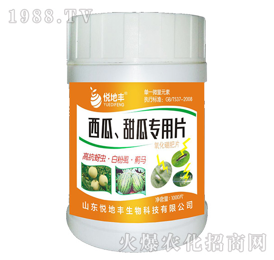 ��������ό���Ƭ��һ��һƬ��-�����S