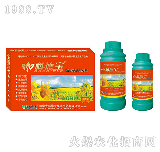 �Ͳ������տ���(zhu��n)�àI(y��ng)�B(y��ng)���a(ch��n)�{(di��o)�턩-�Ƶ�