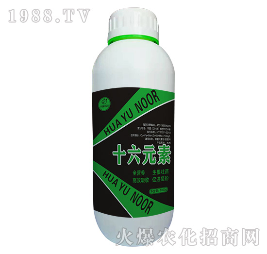 ʮ��Ԫ��-�Z��