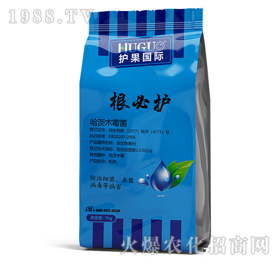 �����o(h��)-�o(h��)����(gu��)�H