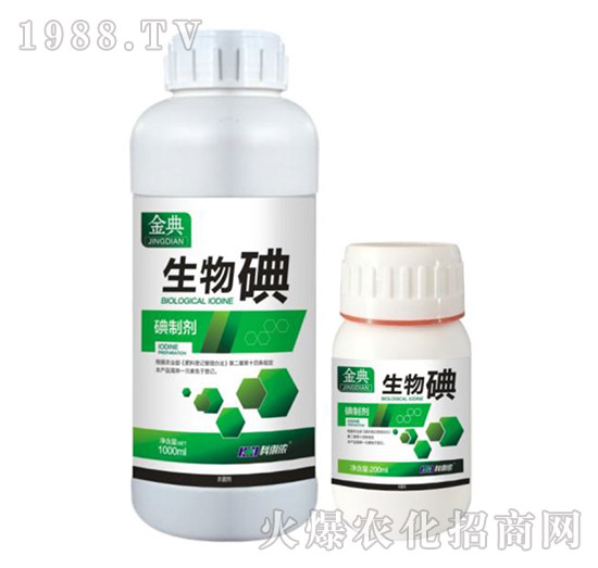 �����-���-�����r(n��ng)