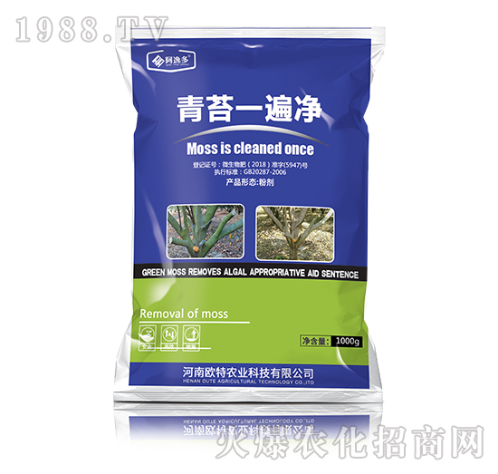 ��̦һ���-���ݶ�-�W���r�I(y��)