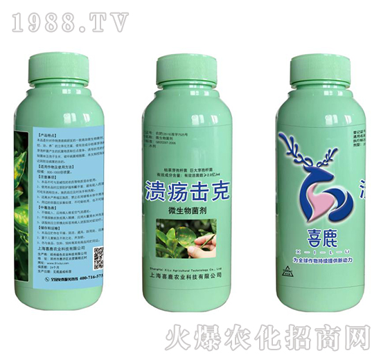 ΢�������-��������-�Gɫ�r�I(y��)