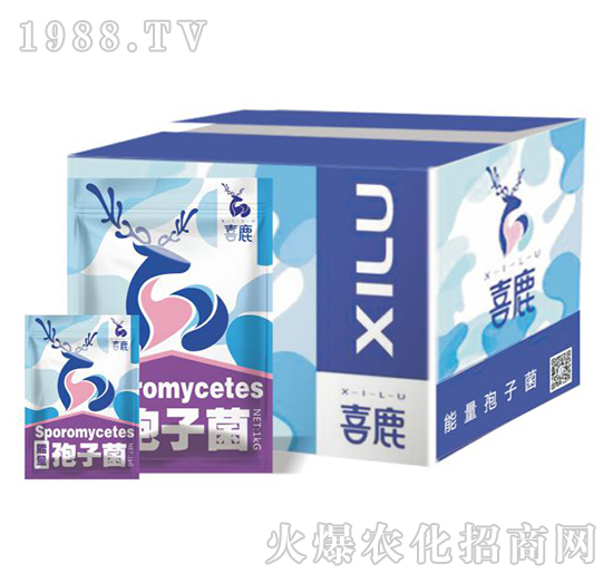 �������Ӿ�-ϲ¹-�Gɫ�r�I(y��)