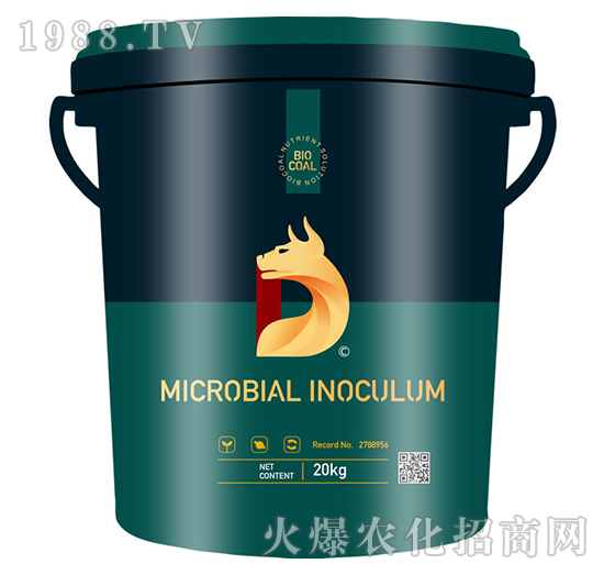 ժ����-��