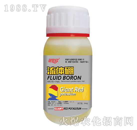 ���w��-����