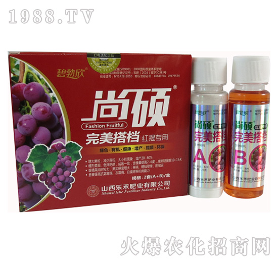 �t�����ь������-��(l��)��