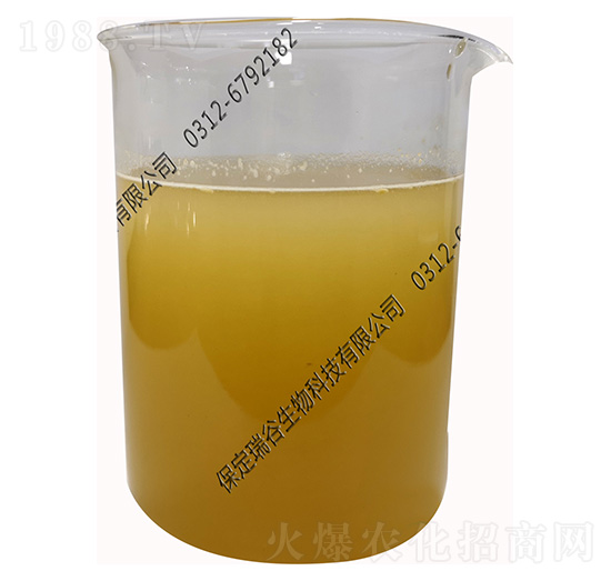 水溶性枯草芽孢桿菌-瑞谷生物