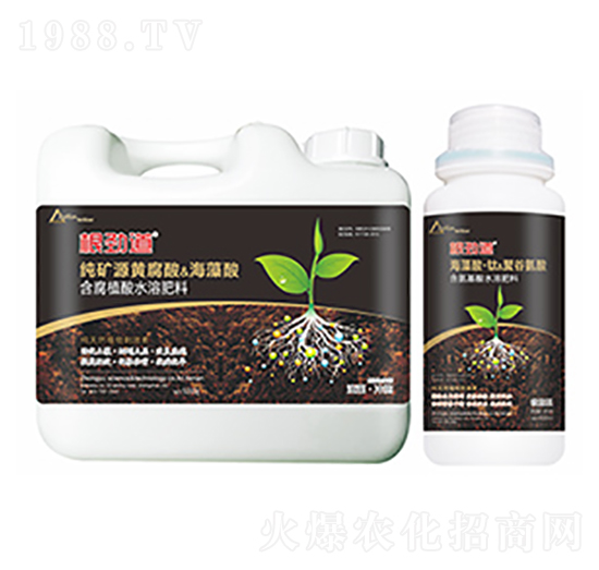 ���ŵ�-�����Ƽ�