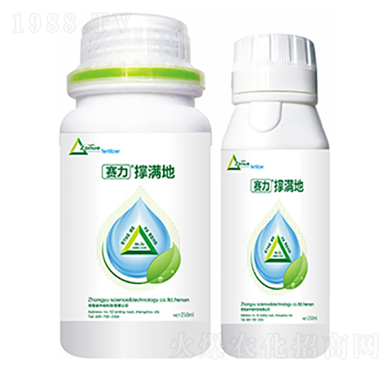 �ΝM��-�����Ƽ�