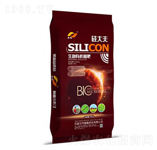 �����ЙC(j��)����-����-�����ʘI(y��)