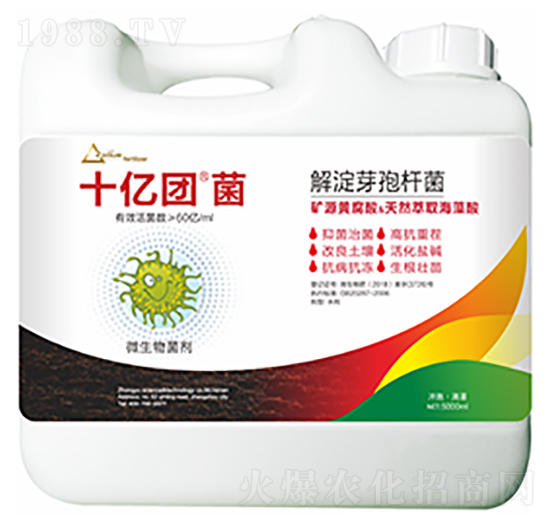 ���ѿ�ߗU��-ʮ�|�F(tu��n)��-�����Ƽ�