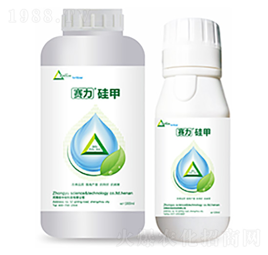 ِ�����-�����Ƽ�