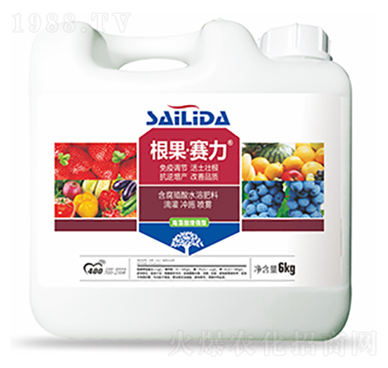 ����ِ��-�����Ƽ�