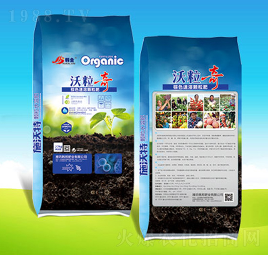 ������-�n��ʘI(y��)