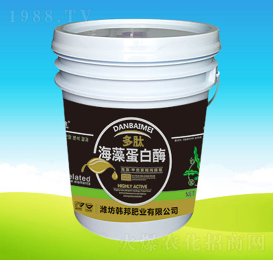 ���ĺ��嵰��ø-�n��ʘI(y��)