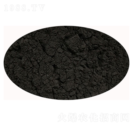 ��ֲ��-ʥ��һ��