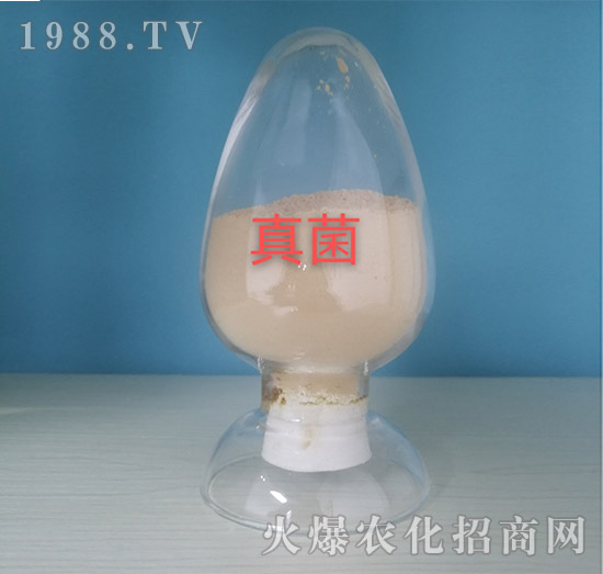 �������ԭ��-���o��(c��)�r(n��ng)�I(y��)