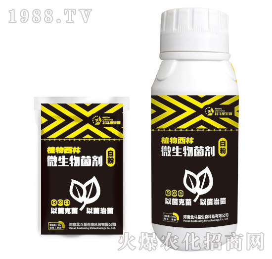 �׷ی���΢�������-ֲ������-������