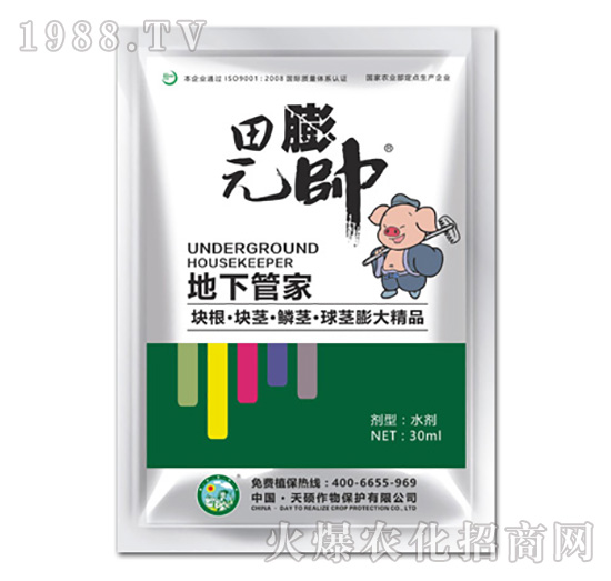 ���¹ܼ�-��T����