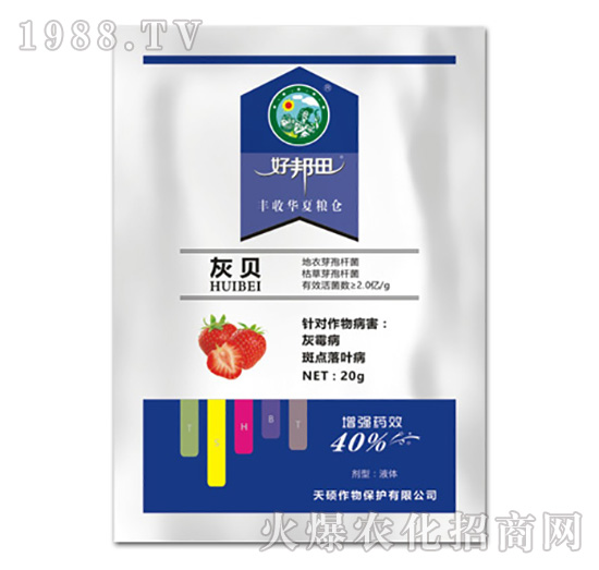 ��ؐ-�ð���-��T����